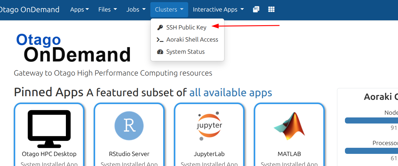 Clusters menu showing SSH Public Key